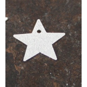 Børstet sølv stjerne 14 mm